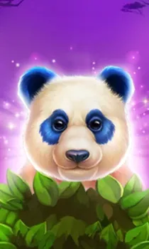 Luck Of Panda Bonus Combo